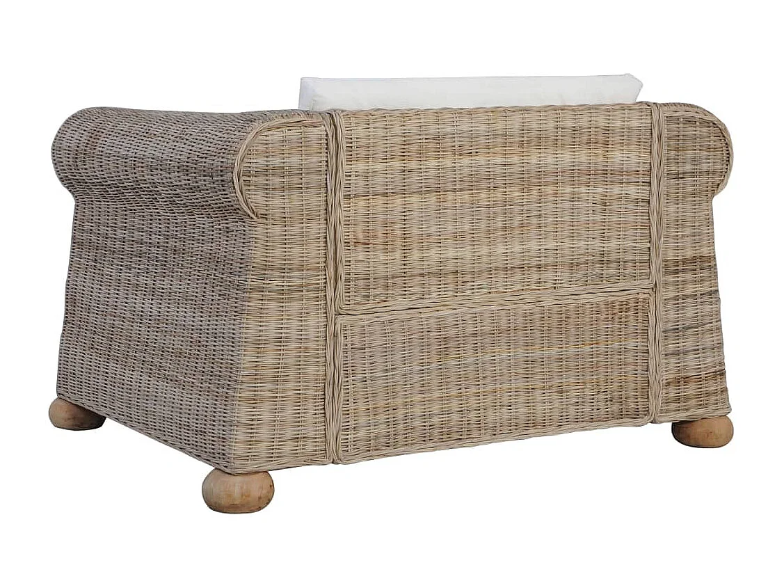 Fauteuil met kussens natuurlijk rattan