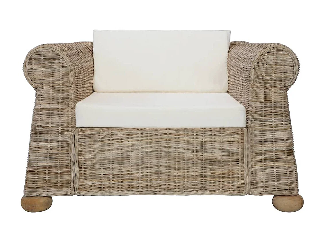 Fauteuil avec coussins Rotin naturel