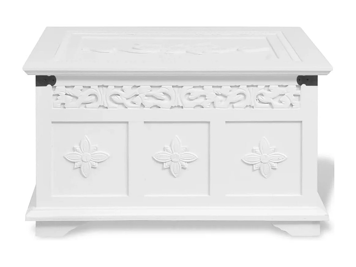 Ensemble de deux coffres de rangement Blanc