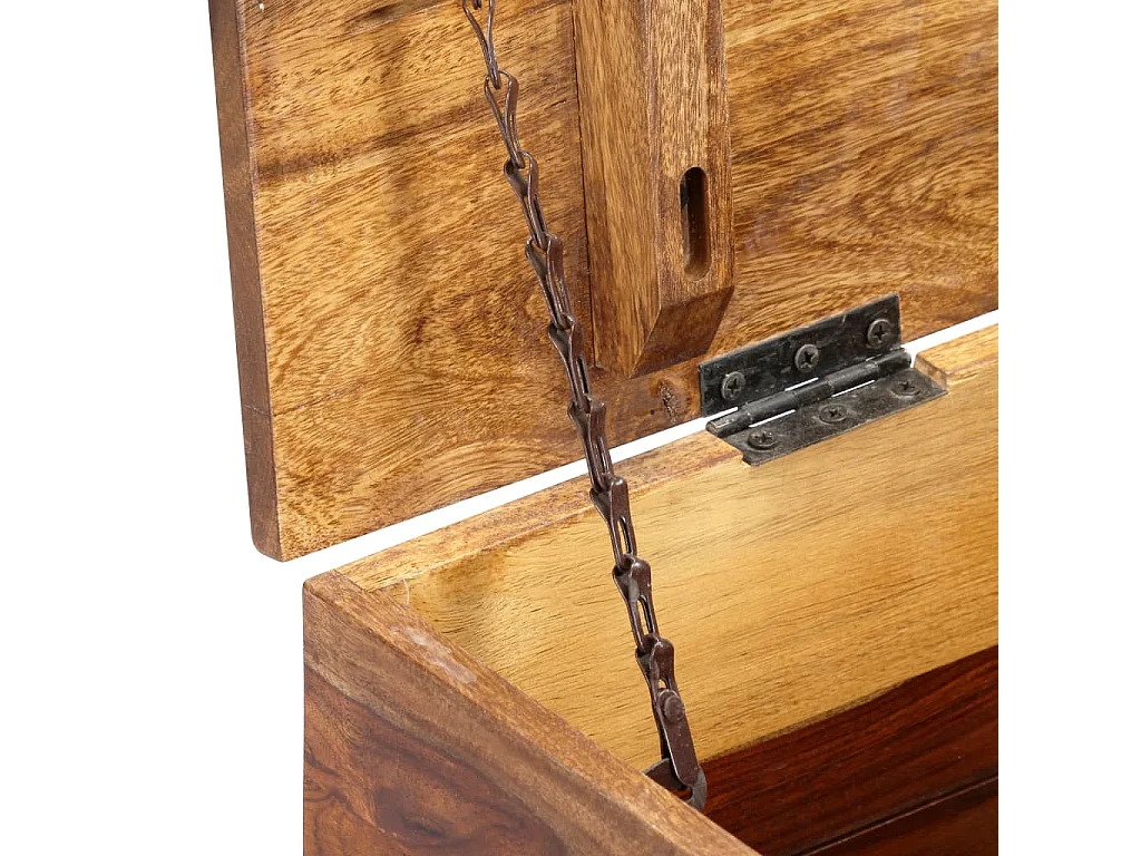 Arca de arrumação 80 x 40 x 40 cm Madeira de sheesham maciça