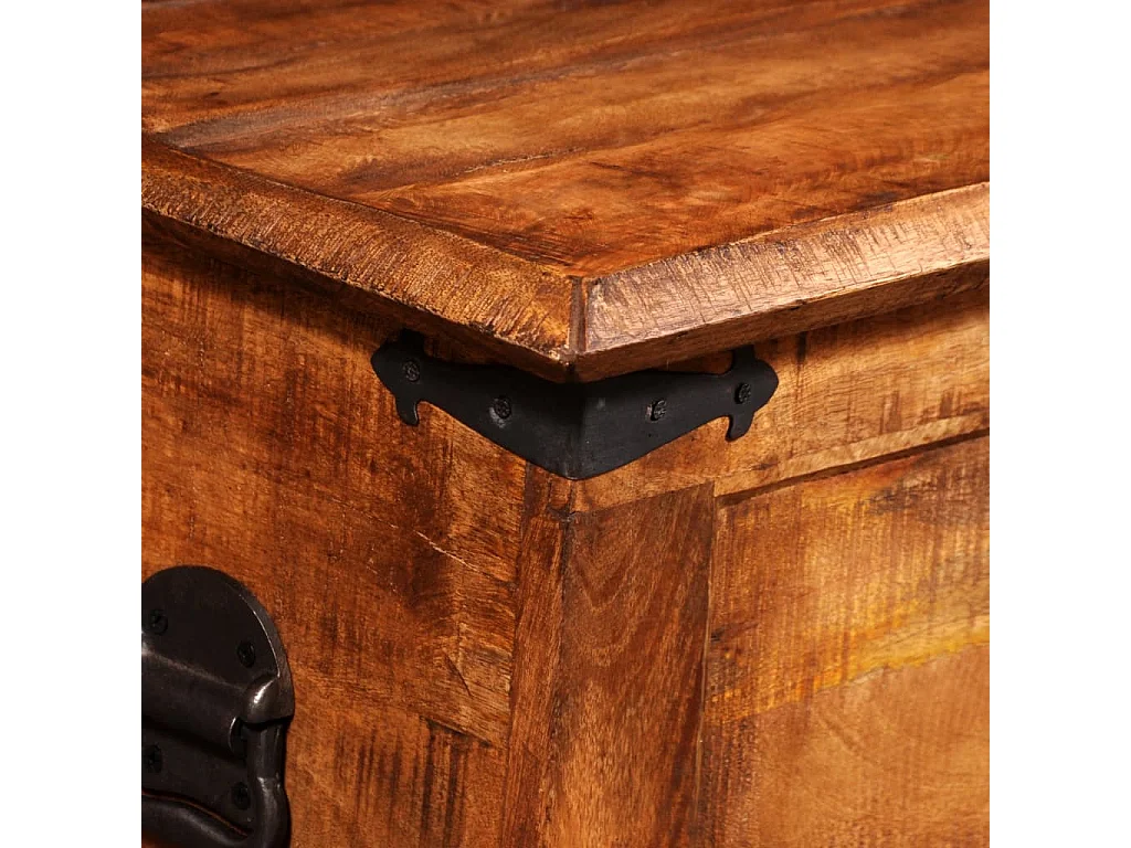 Aufbewahrungstruhe Rohes Mangoholz
