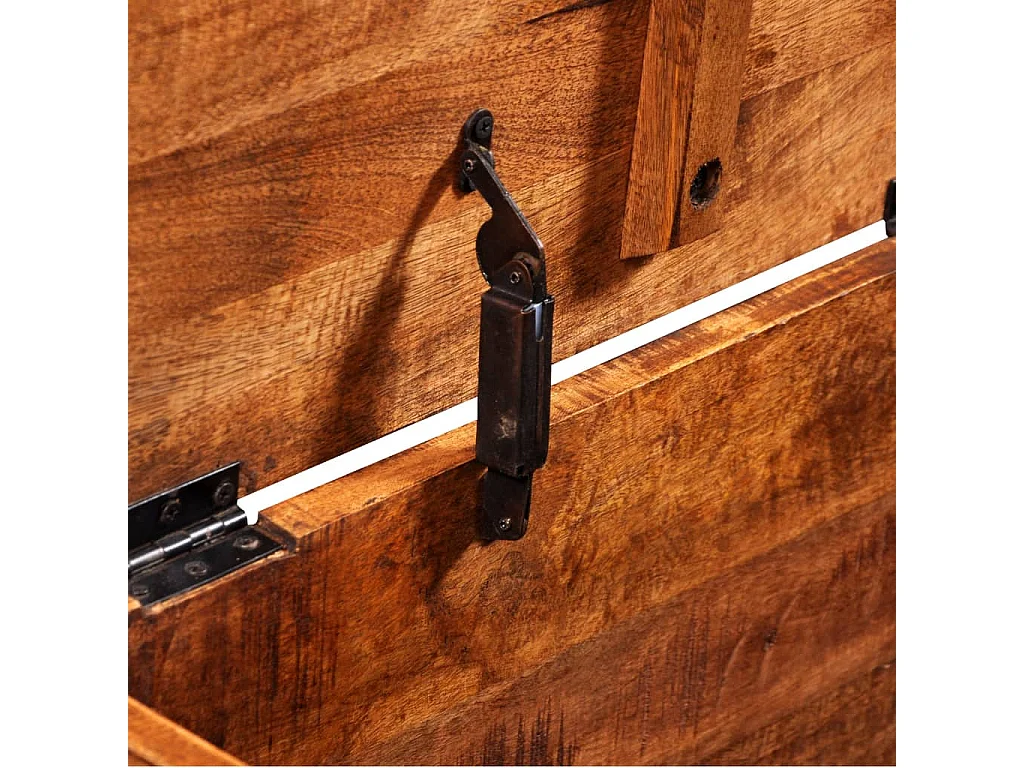 Aufbewahrungstruhe Rohes Mangoholz