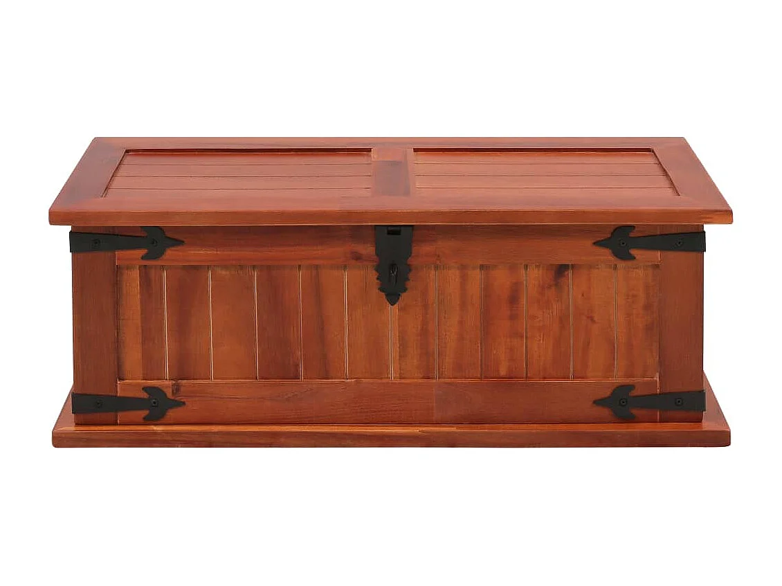 Coffre de rangement 60x25x22 cm Bois d'acacia solide