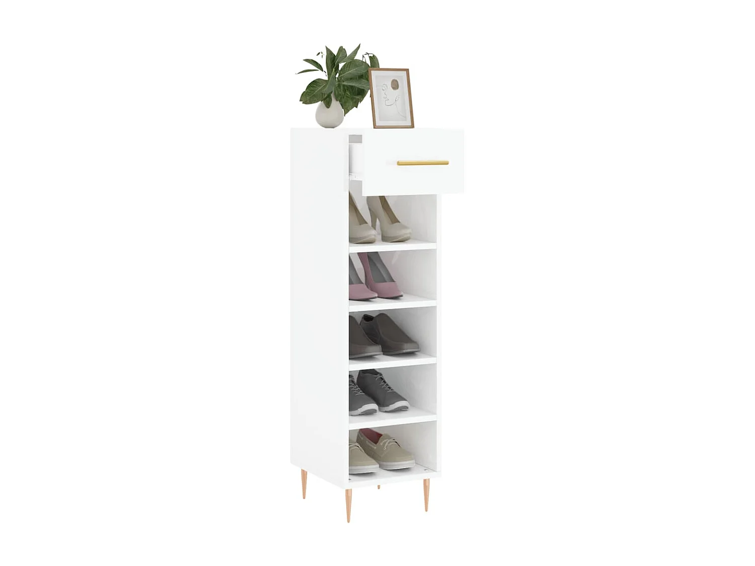 Armoire à chaussure Blanc brillant 30x35x105 cm Bois ingénierie