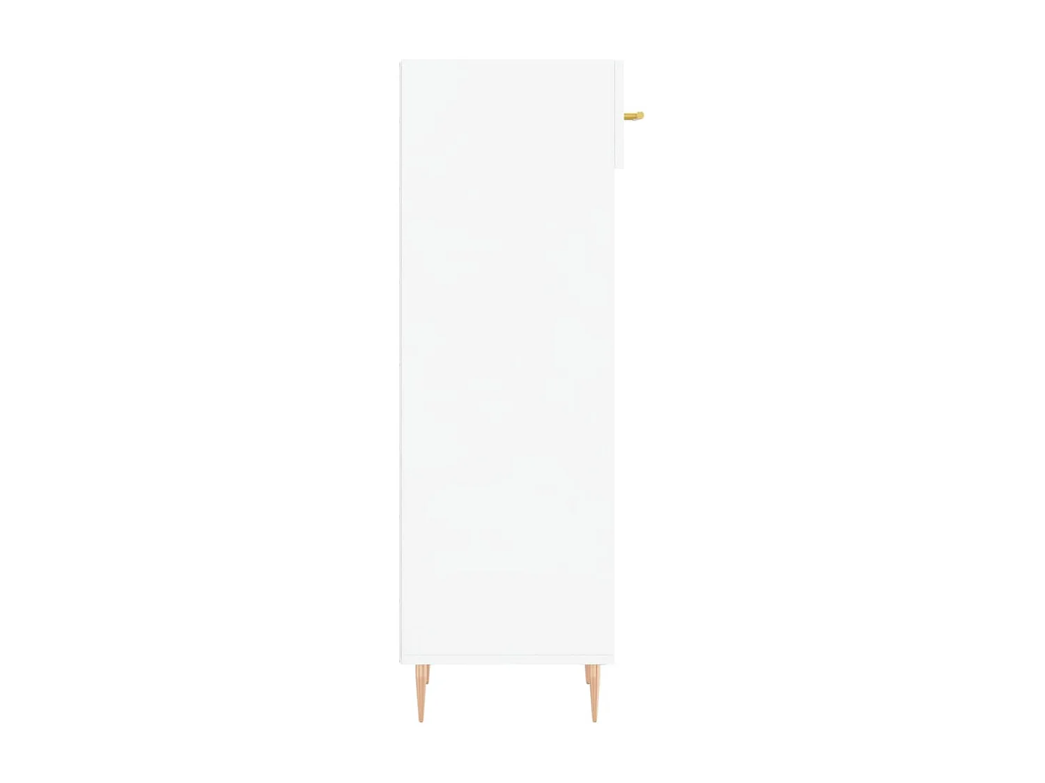 Armoire à chaussure Blanc brillant 30x35x105 cm Bois ingénierie
