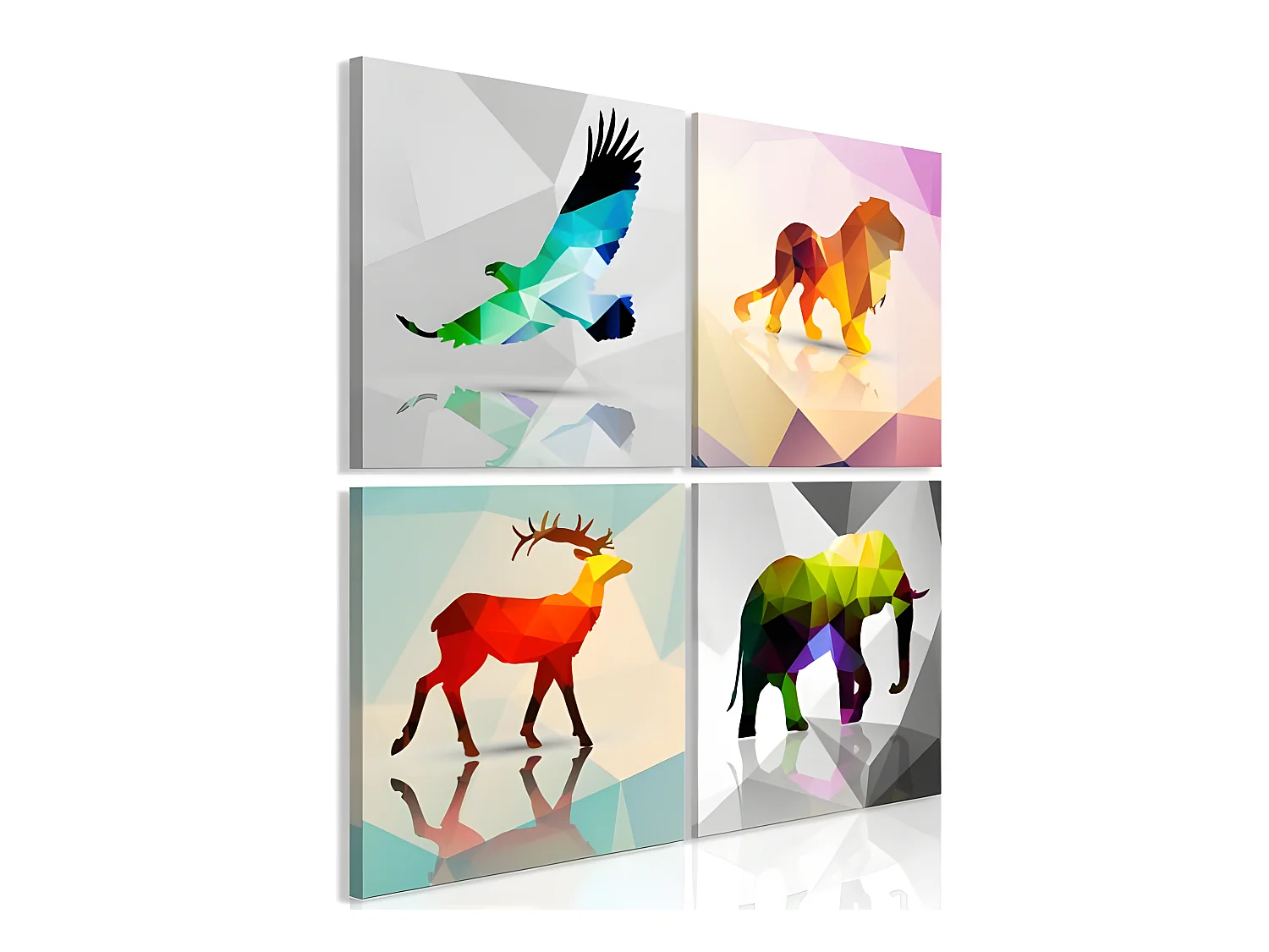 Tableau Colourful Animals 4 Pièces 90x90 cm