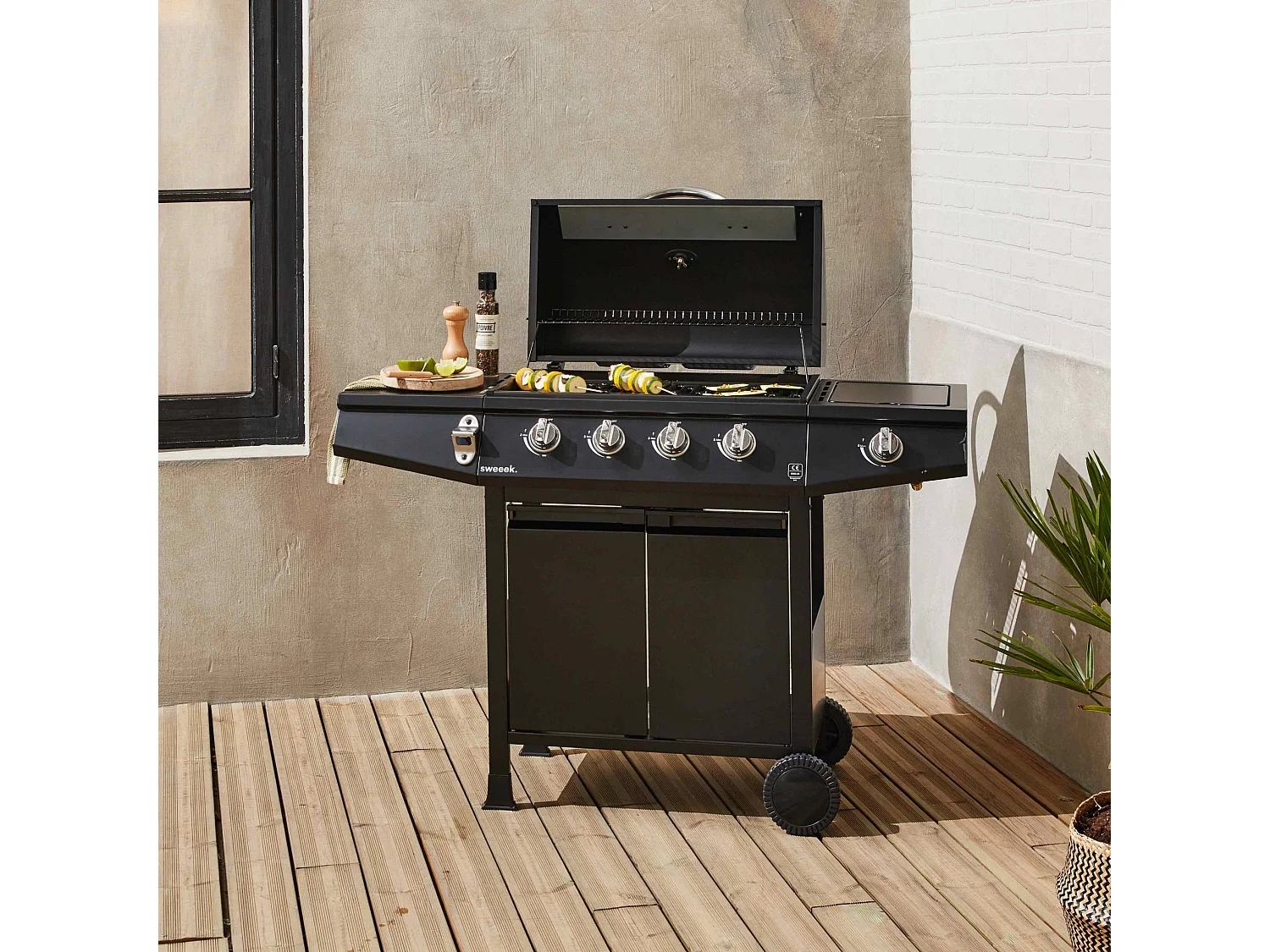Barbacoa de gas de 5 quemadores y 1 quemador lateral negro