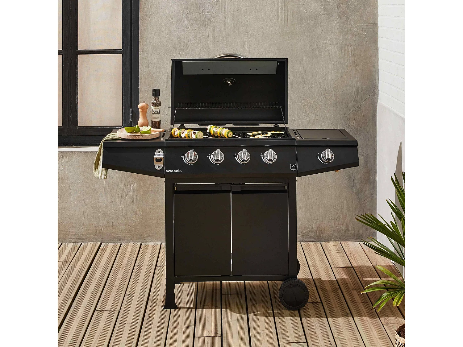 Barbacoa de gas de 5 quemadores con 1 quemador lateral negro
