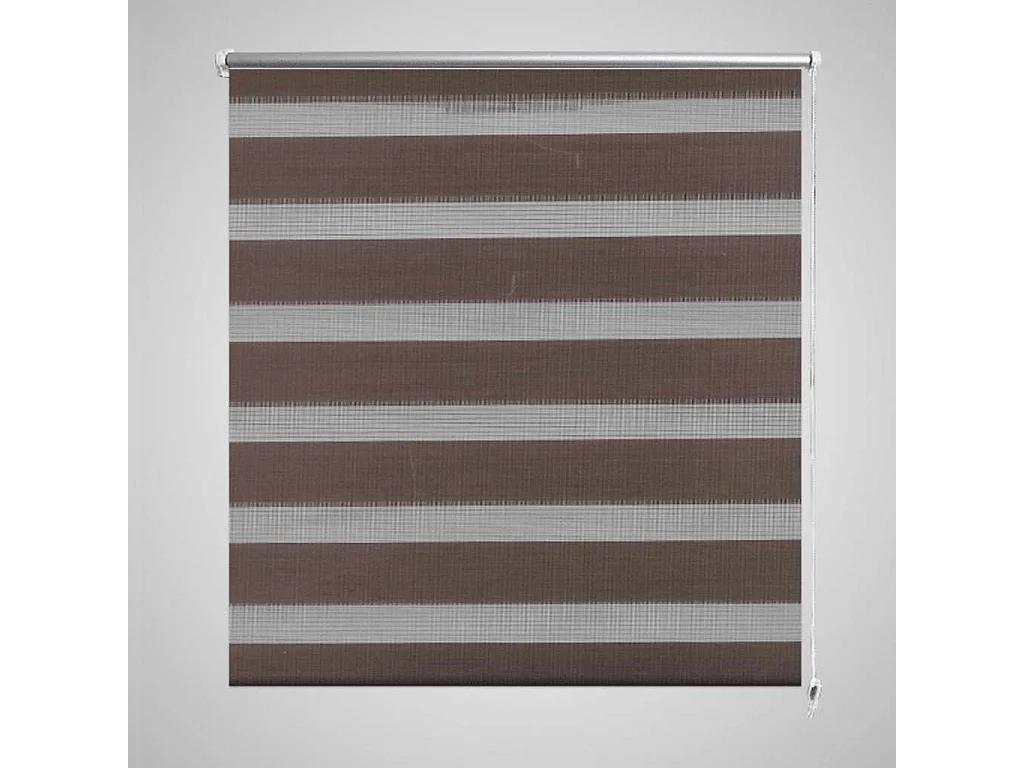 Filterrollo 50 x 100 cm braun