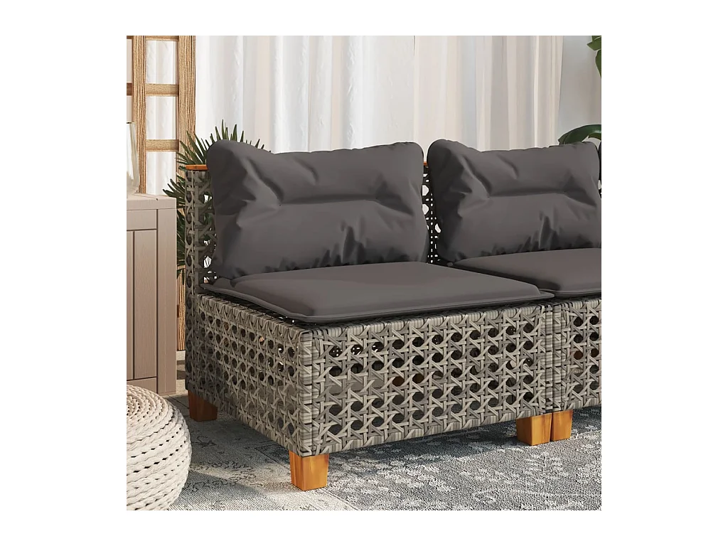 Canapé de jardin sans accoudoirs coussins gris résine tressée
