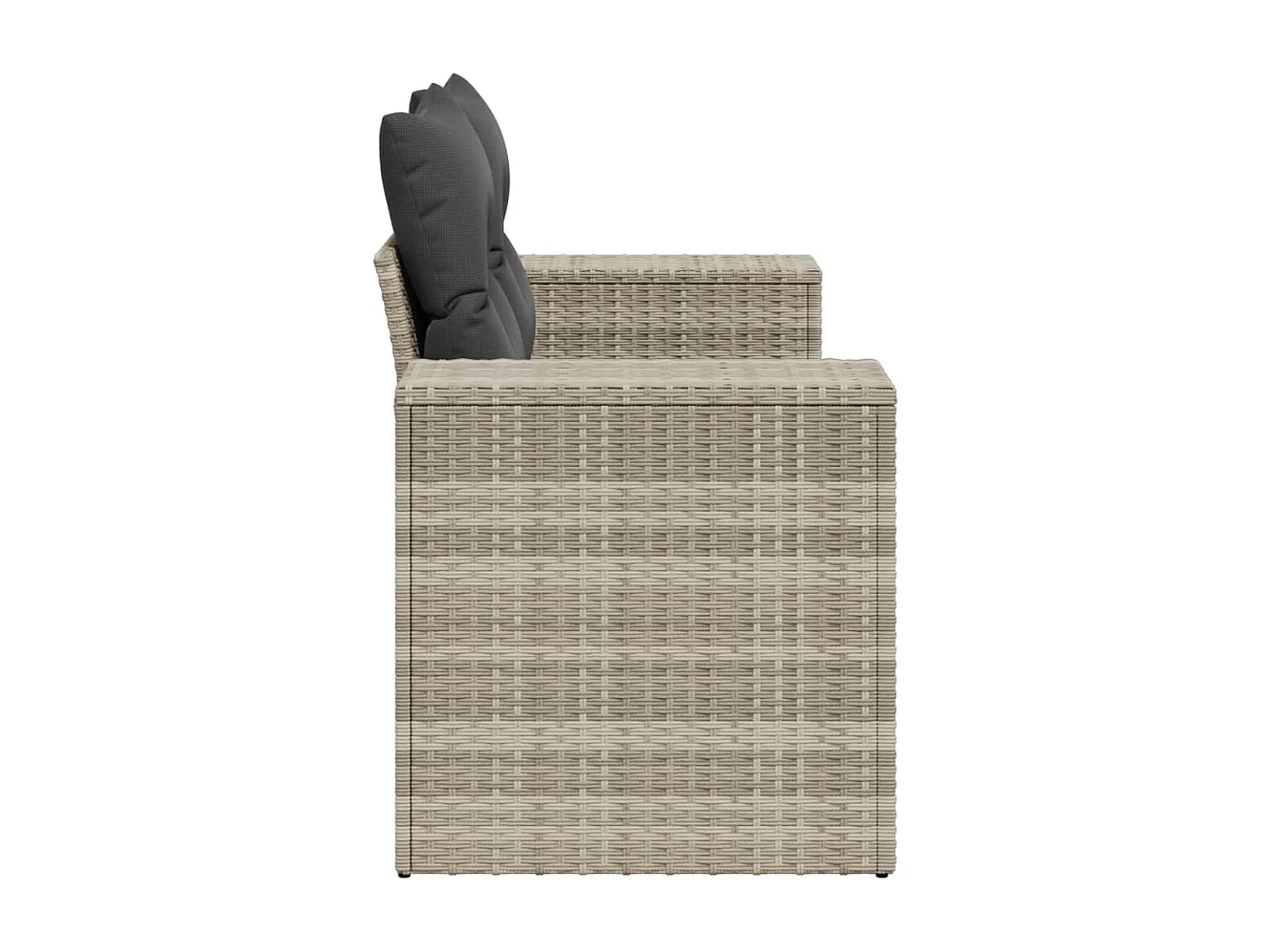 Canapé de jardin 2 places et coussins gris clair résine tressée