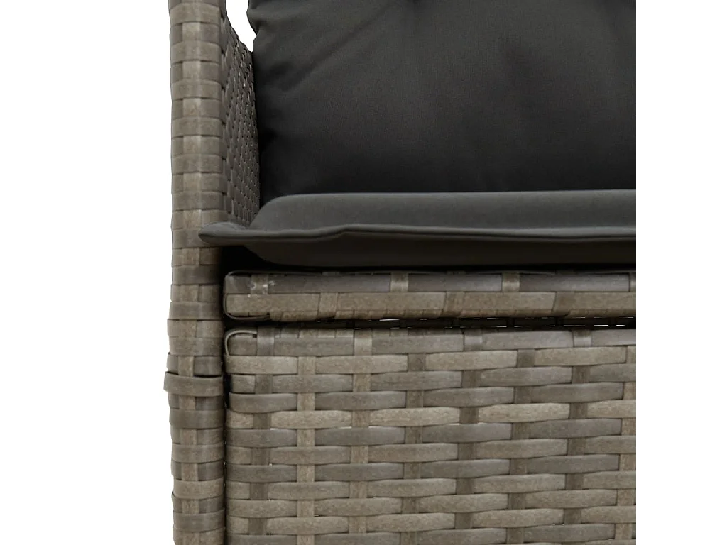 Canapé de jardin inclinable 2 places avec table gris poly rotin