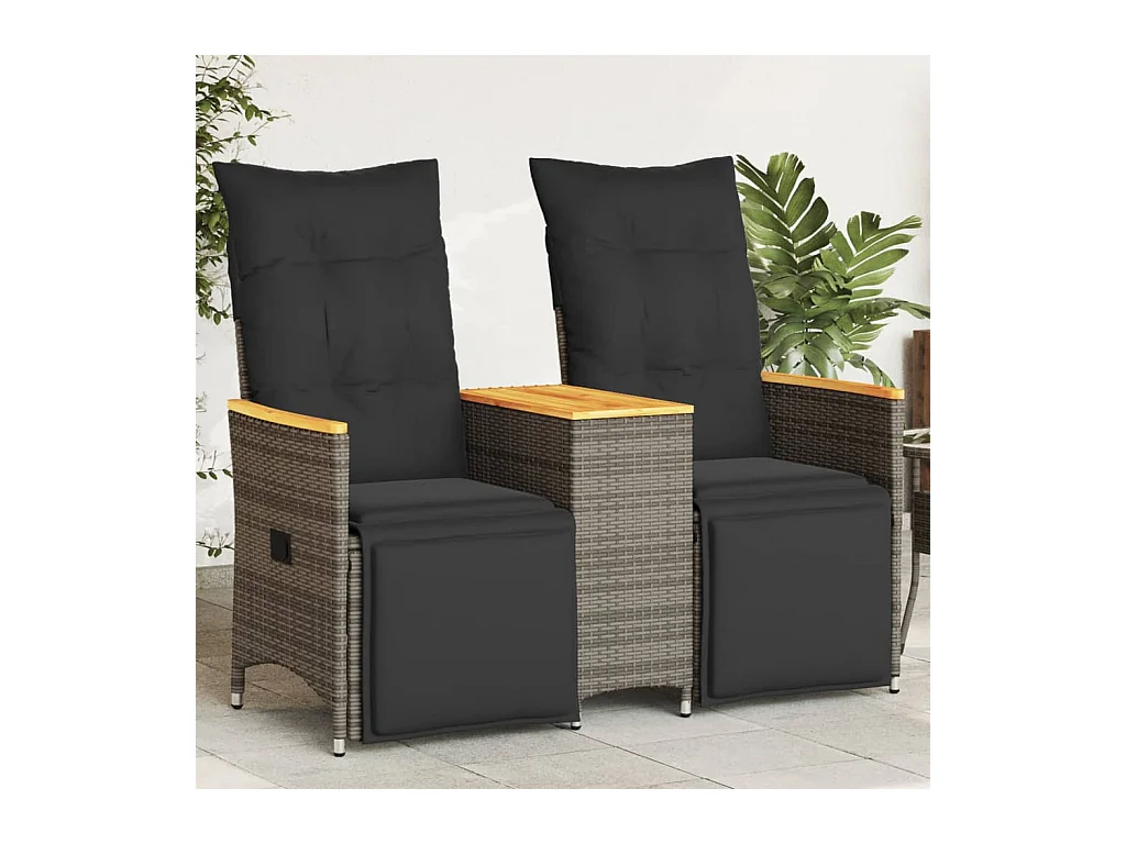 Canapé de jardin inclinable 2 places avec table gris poly rotin