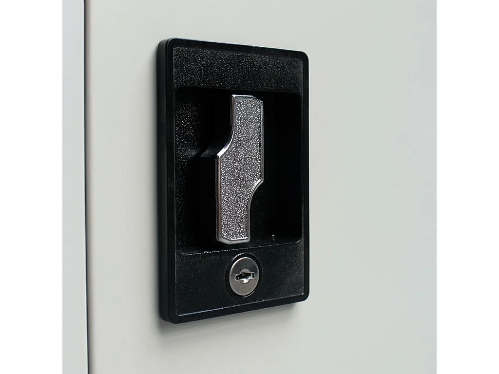 Armoire de bureau avec 2 portes Acier 90 x 40 x 180 cm Gris