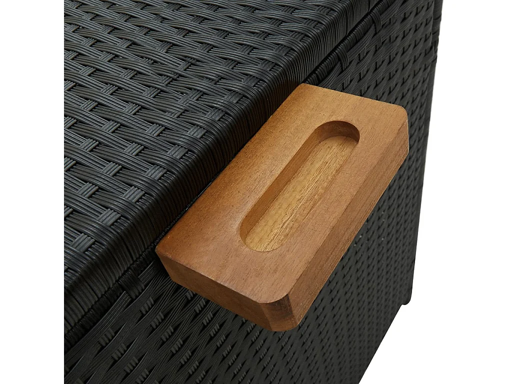 Boîte de rangement de jardin noir 120x65x61 cm résine tressée