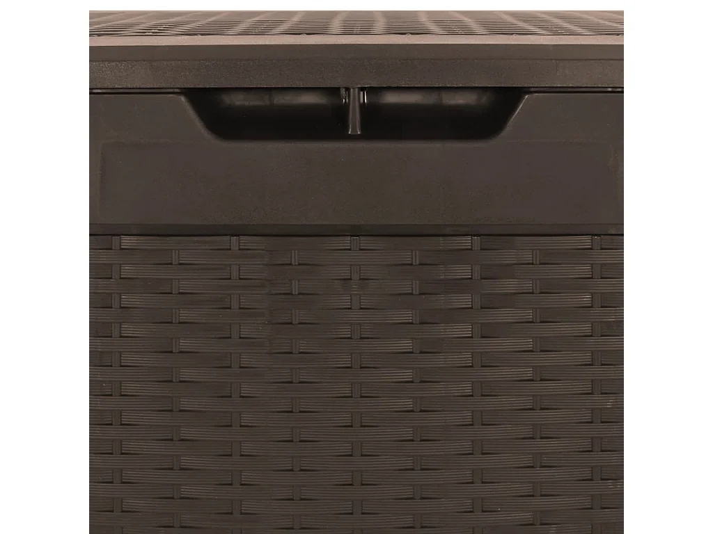 Garten-Aufbewahrungsbox Braun 119x48x60 cm Polypropylen