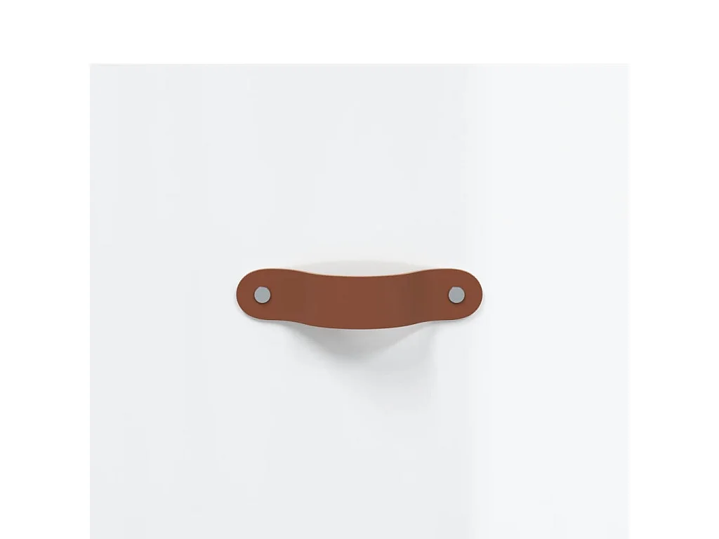 Armoire à chaussures blanc 30x35x105 cm bois d'ingénierie