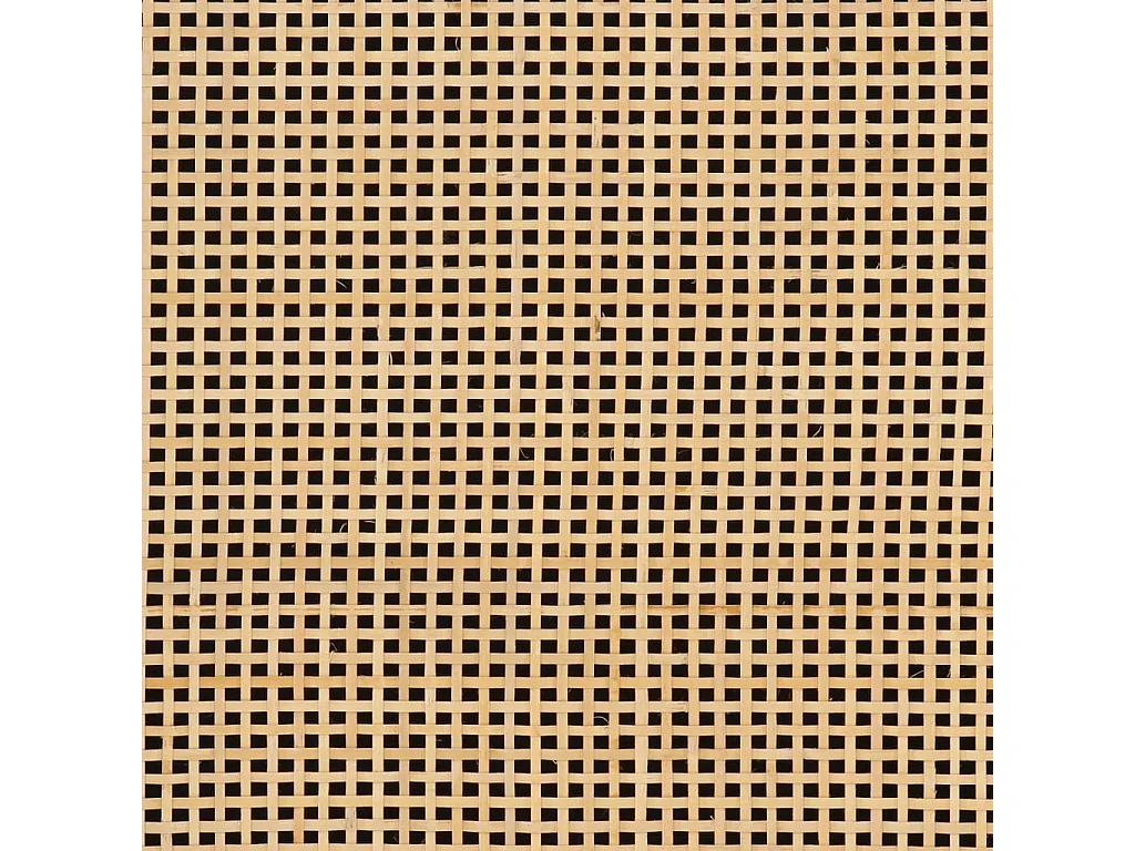 Credenza nera 55x30x76 cm in legno massello di mango e ferro