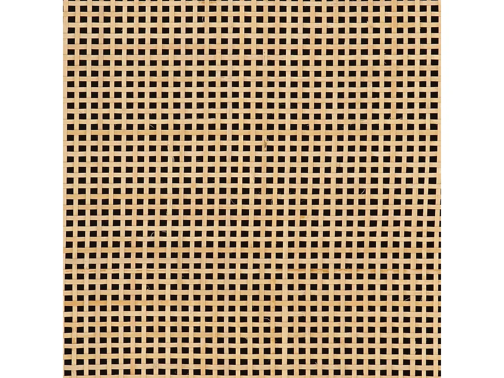 Credenza nera 55x30x76 cm in legno massello di mango e ferro