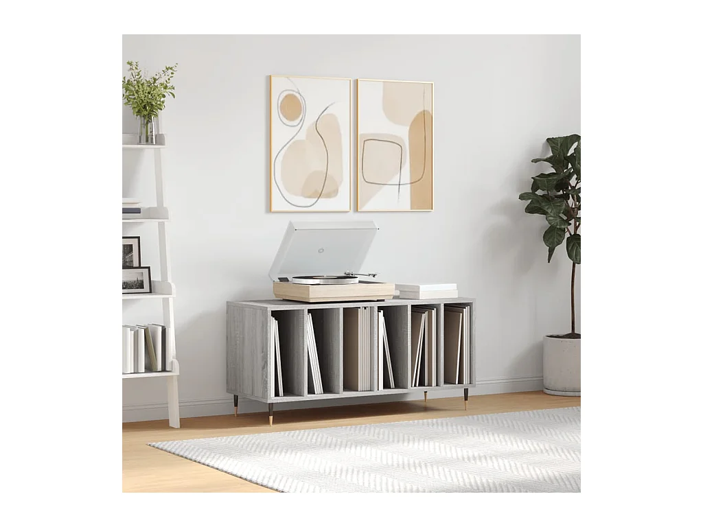 Schallplattenschrank Sonoma grau 100x38x48 cm Holzwerkstoff