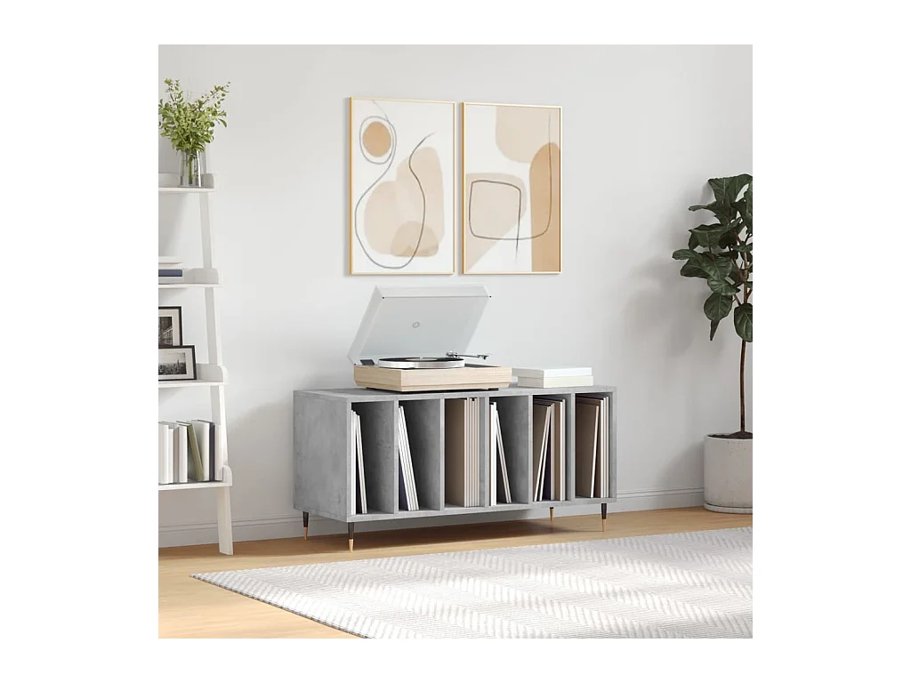 Betongrijze platenkast 100x38x48 cm samengesteld hout