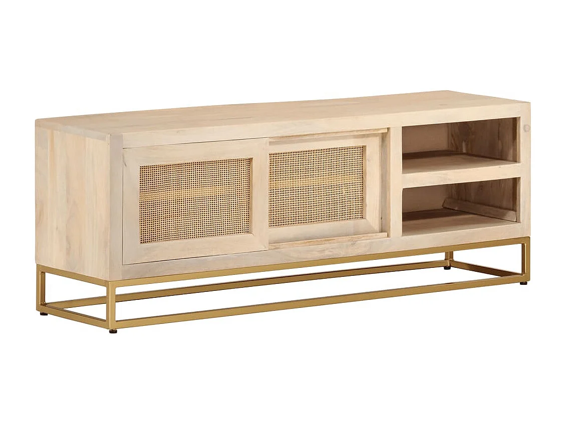 Meuble TV 110x30x40 cm bois massif de manguier et fer
