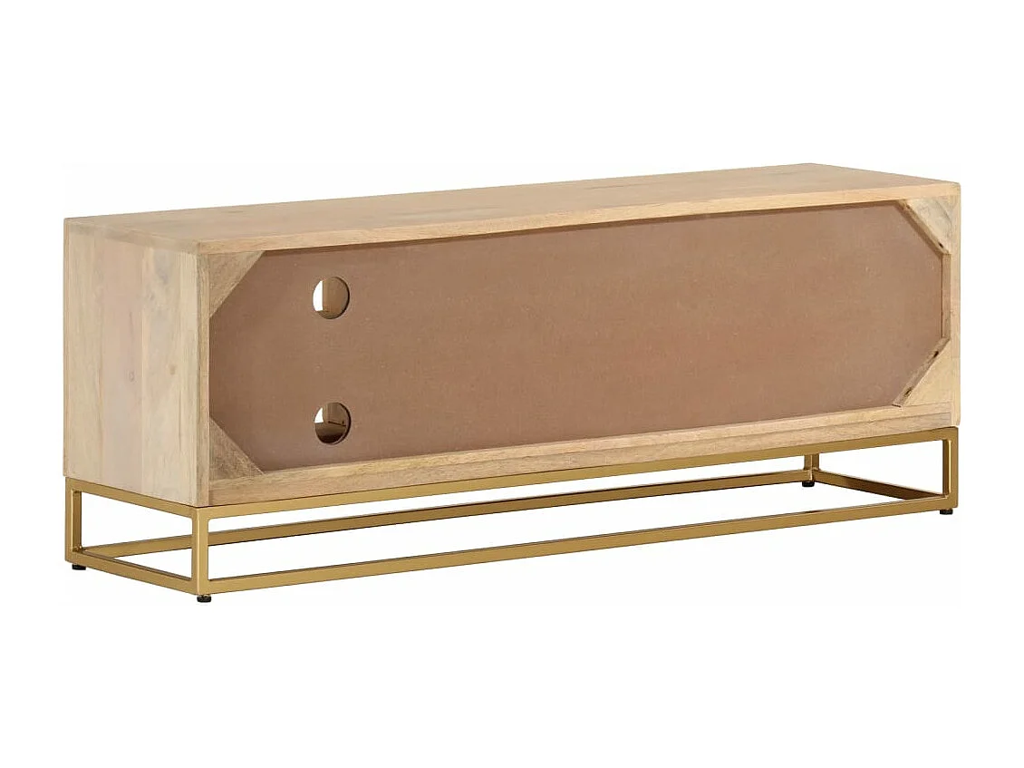 Meuble TV 110x30x40 cm bois massif de manguier et fer