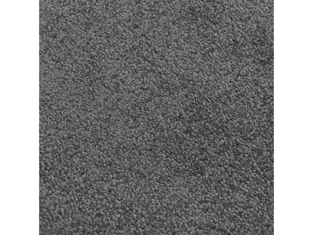 Paillasson Anthracite 60x80 cm