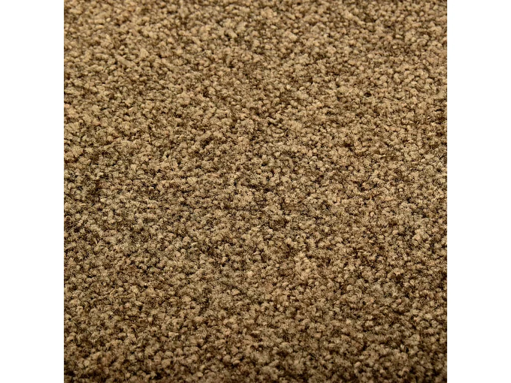 Paillasson lavable Marron 60x90 cm