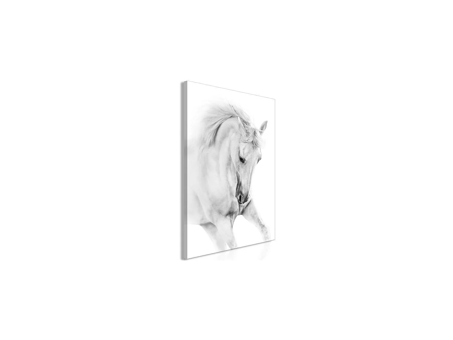 Tableau White Horse 1 Pièce Vertical 40x60 cm