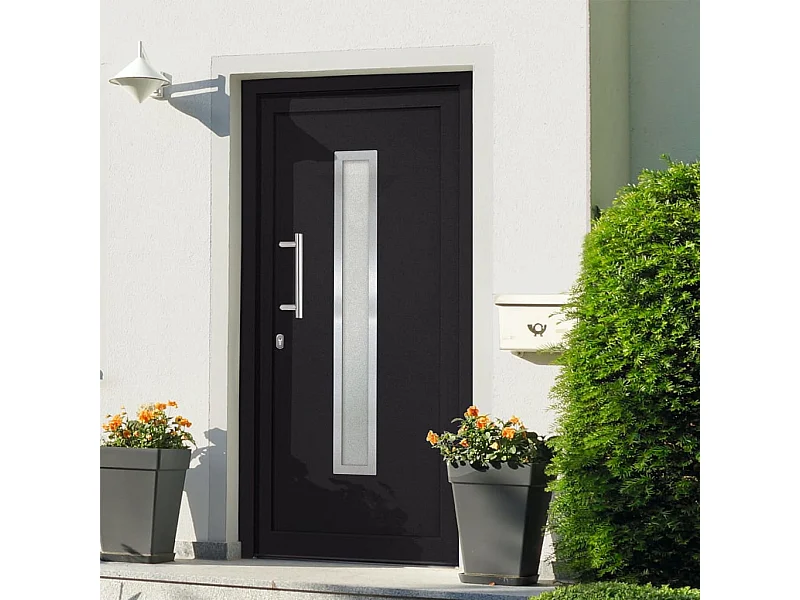 Porte d'entrée Anthracite 108x208 cm