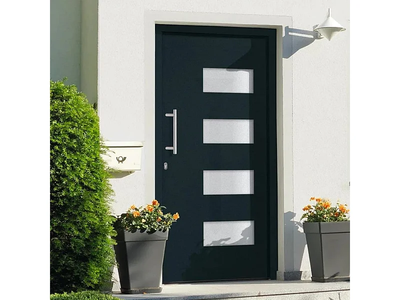 Porta d'ingresso Alluminio e PVC Antracite 100x210 cm