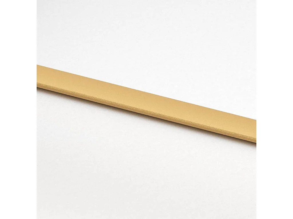 Porte coulissante doré 102,5x205 cm verre ESG dépoli aluminium