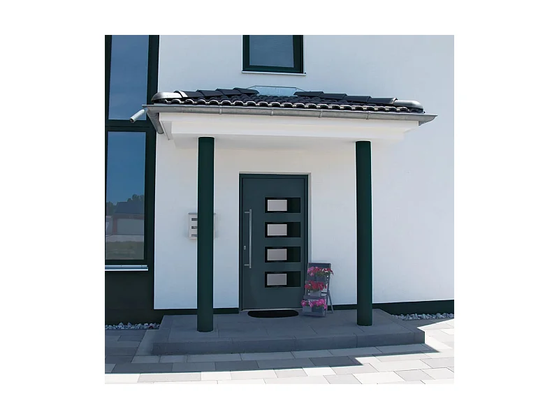 Antraciet toegangsdeur 100x210 cm Aluminium en PVC