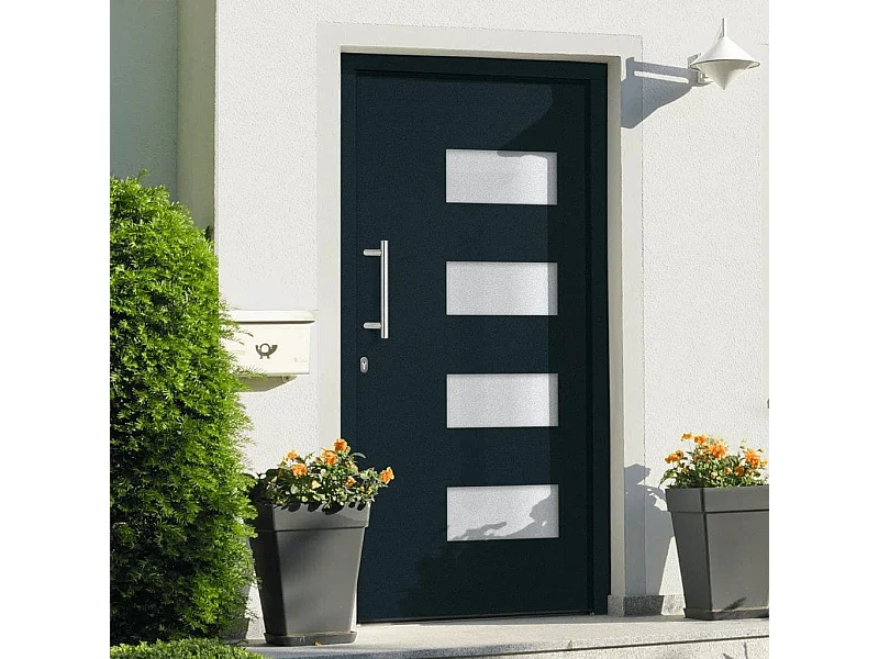 Porta d'ingresso Alluminio e PVC Antracite 110x210 cm