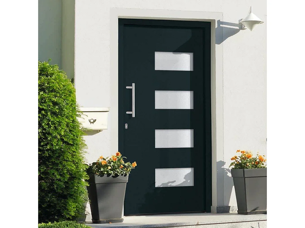 Porta d'ingresso Alluminio e PVC Antracite 100x200 cm