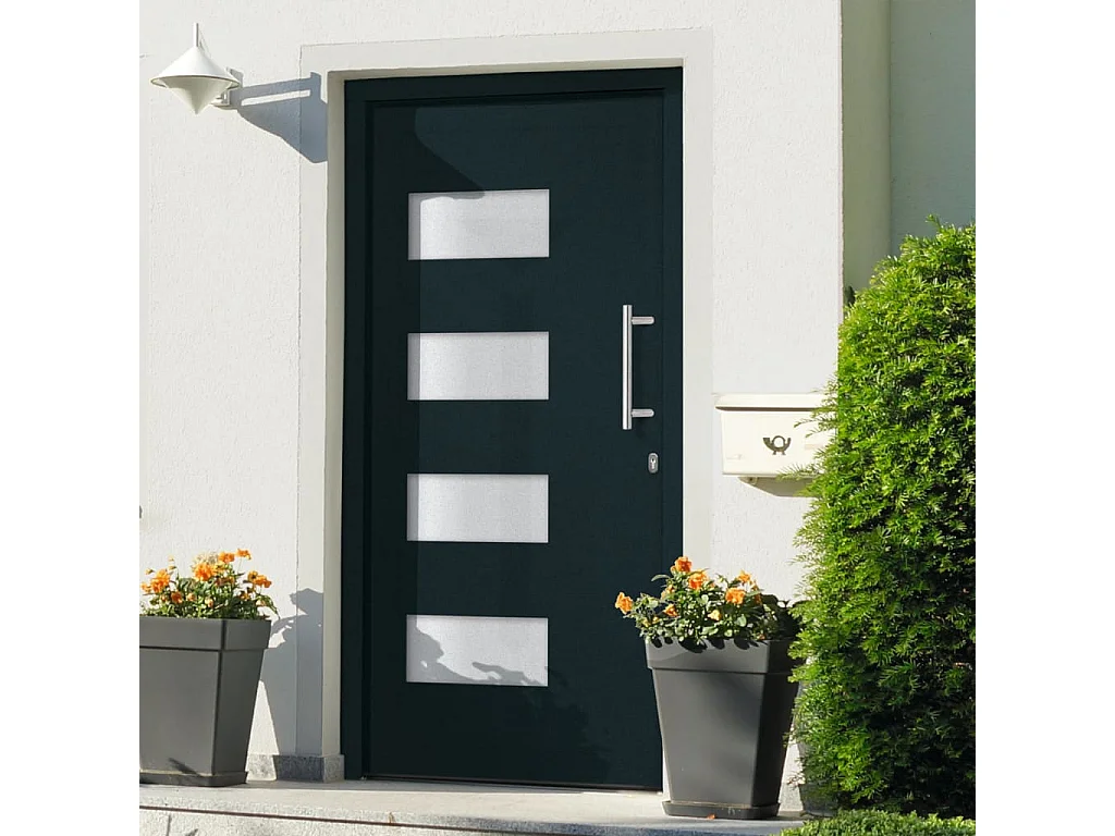 Porta d'ingresso Alluminio e PVC Antracite 100x210 cm