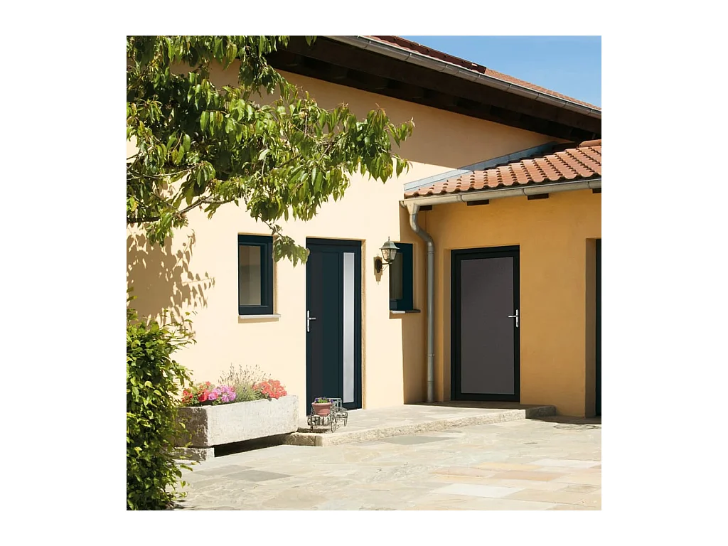 Porte d'entrée anthracite 108x208 cm PVC