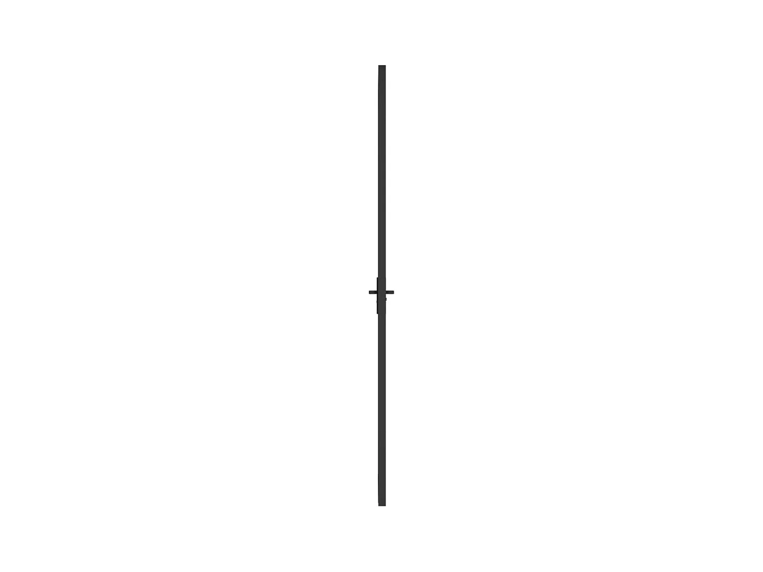 Innentür 76x201,5 cm Schwarzes ESG-Glas und Aluminium