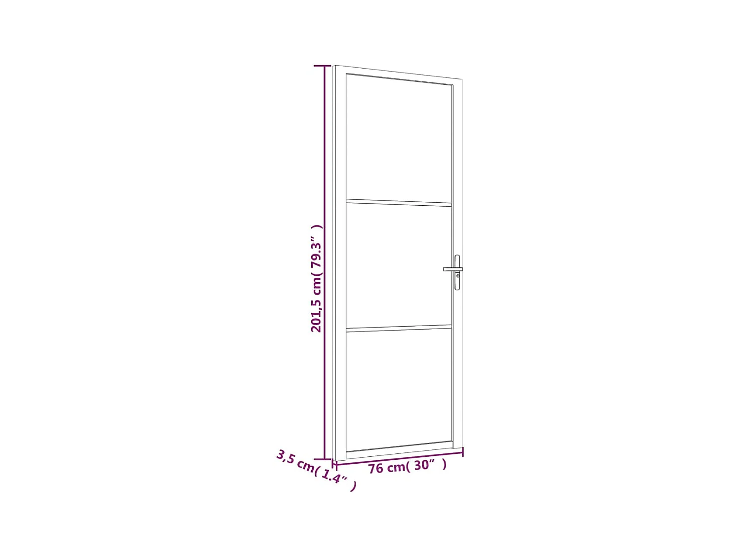Innentür 76x201,5 cm Schwarzes ESG-Glas und Aluminium