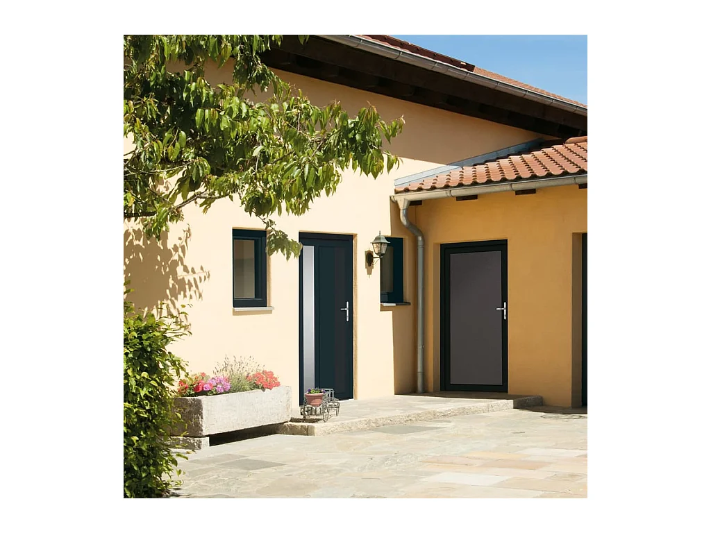 Porta d'ingresso antracite 98x200 cm PVC