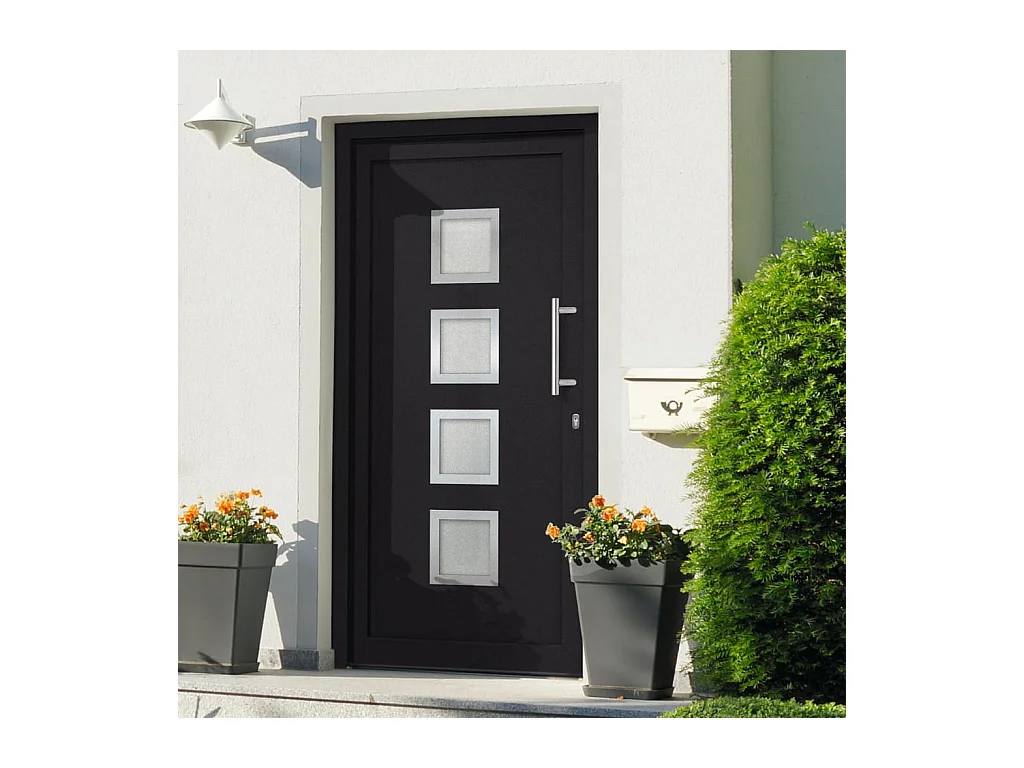 Porta d'ingresso Antracite 98x208 cm