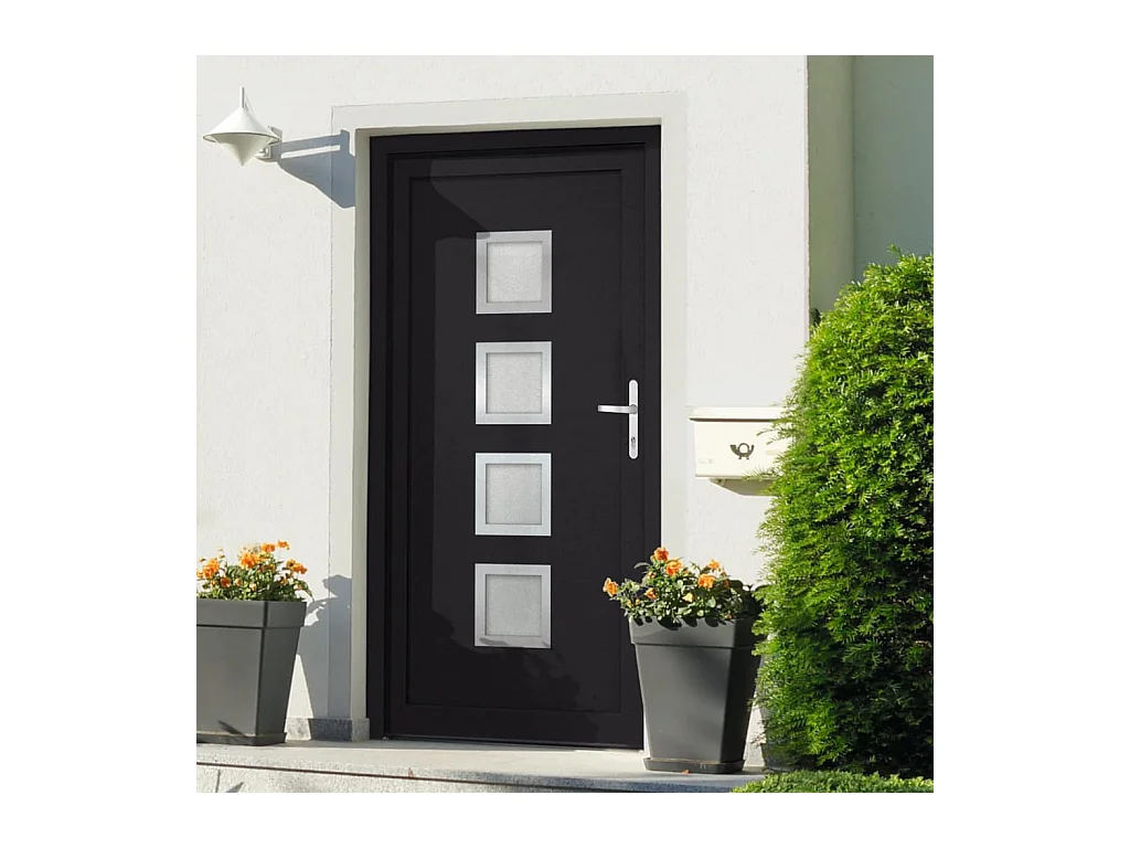 Porta d'ingresso antracite 108x200 cm PVC