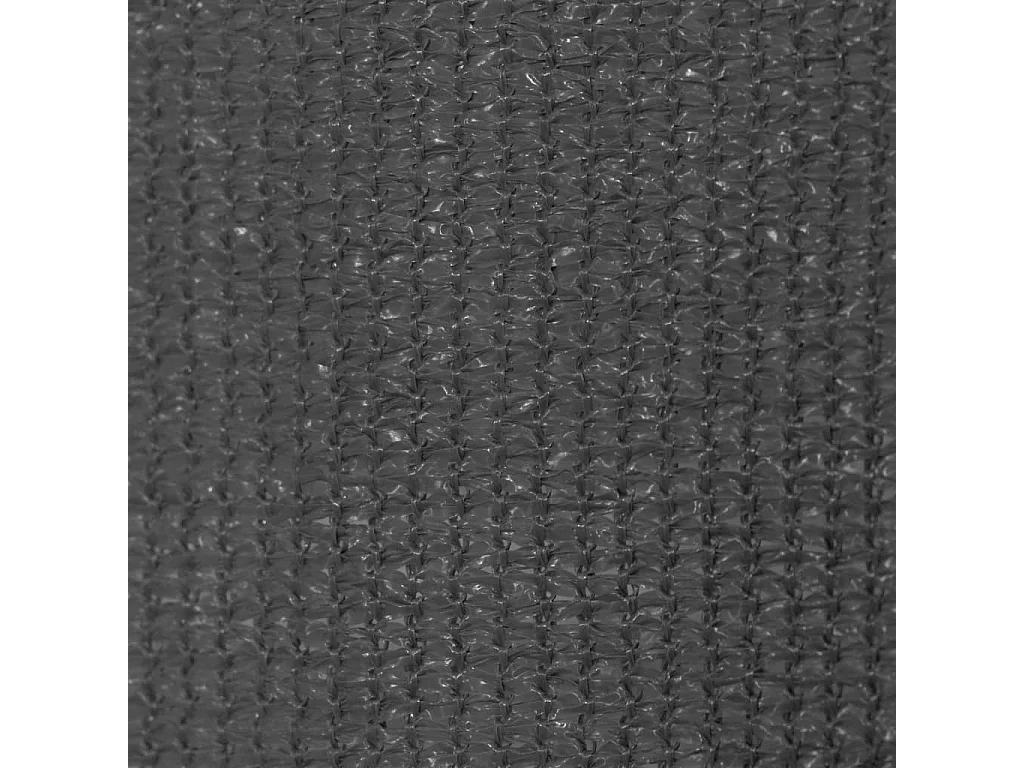 Tenda a rullo da esterno 160 x 140 cm Antracite