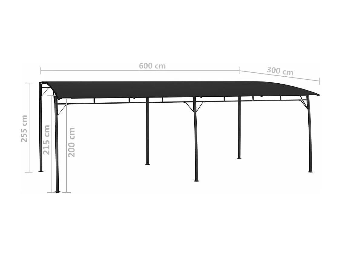 Auvent pare-soleil de jardin 6x3x2,55 m Anthracite