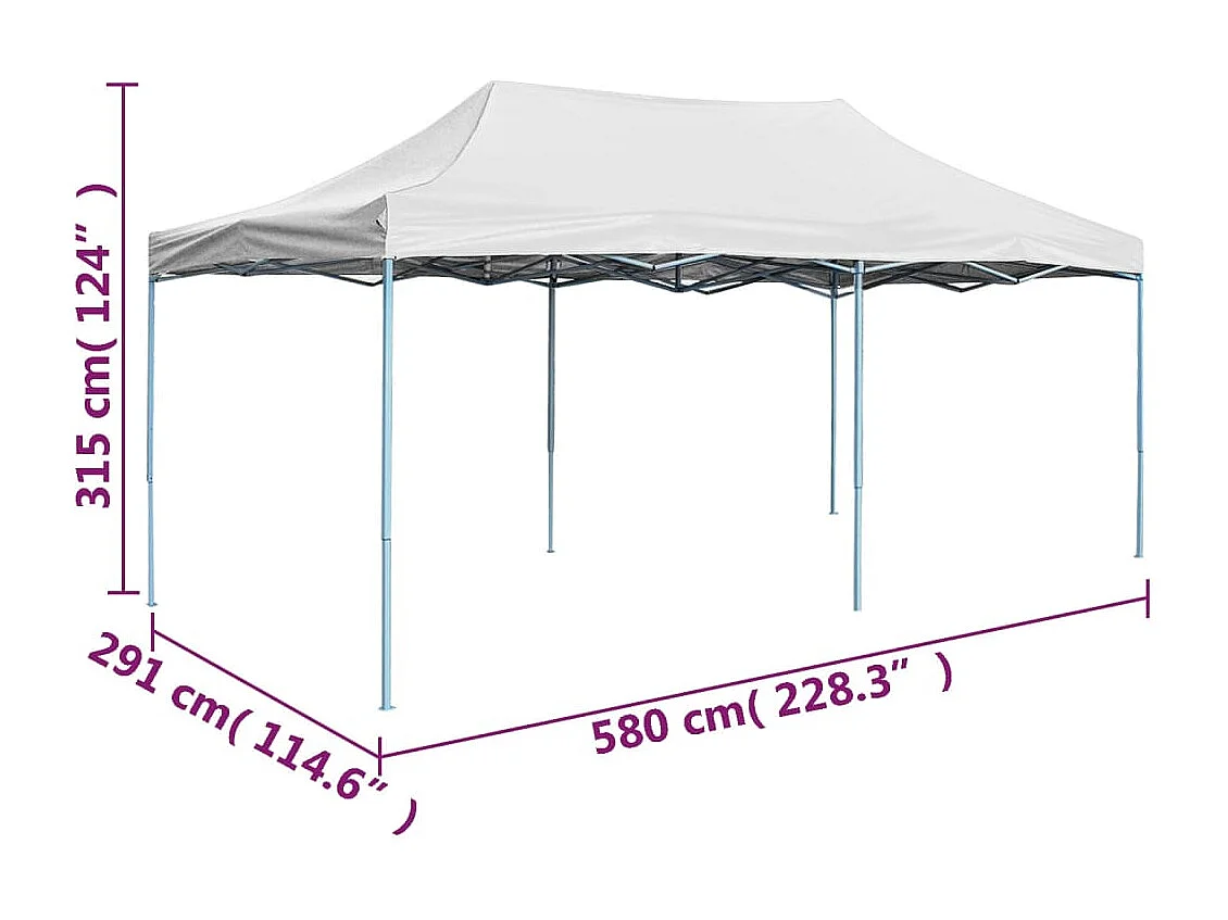 Tente de réception pliable professionnelle 3x6 m Acier Blanc