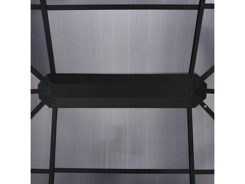 Tonnelle avec rideaux 400x300x265 cm Anthracite