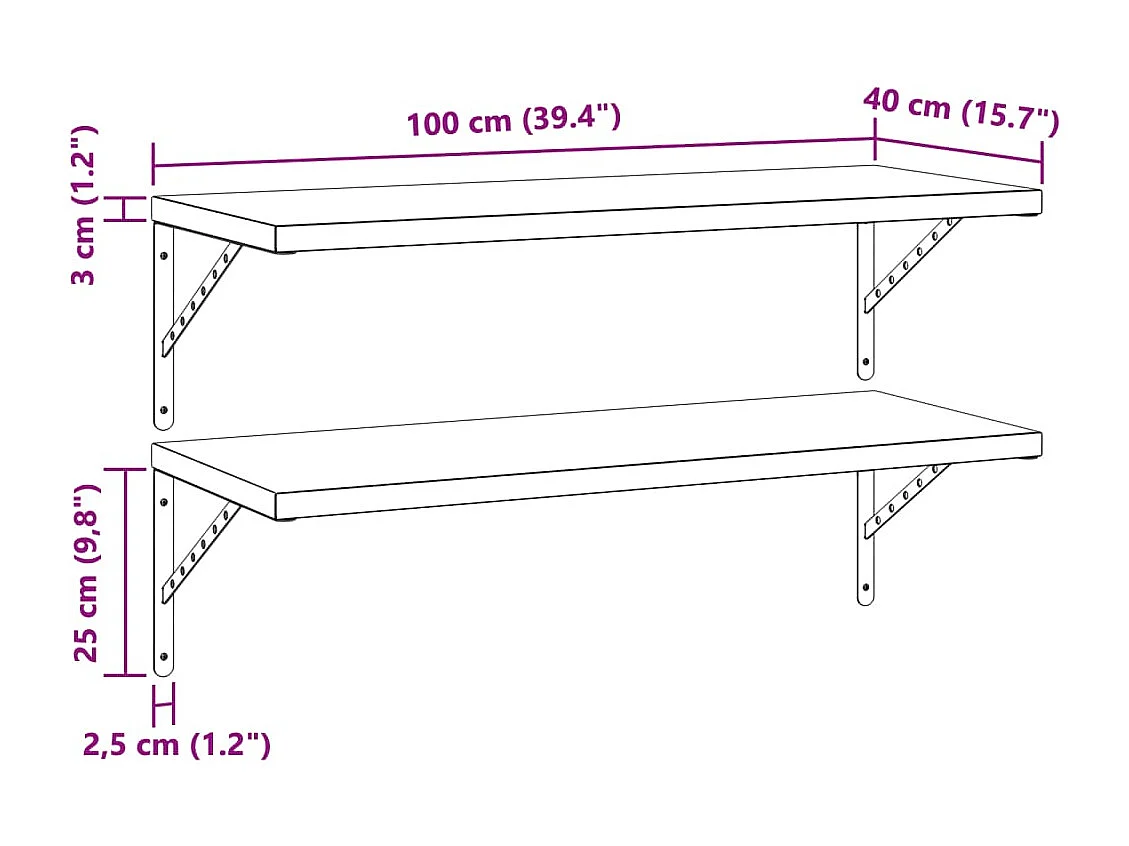 Wandregale 2 Stk. 100x40 cm Schwarz Edelstahl