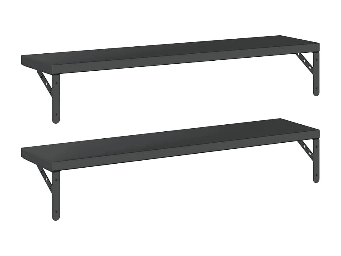 Étagères murales 2 pcs 100x23,5 cm noir acier inoxydable