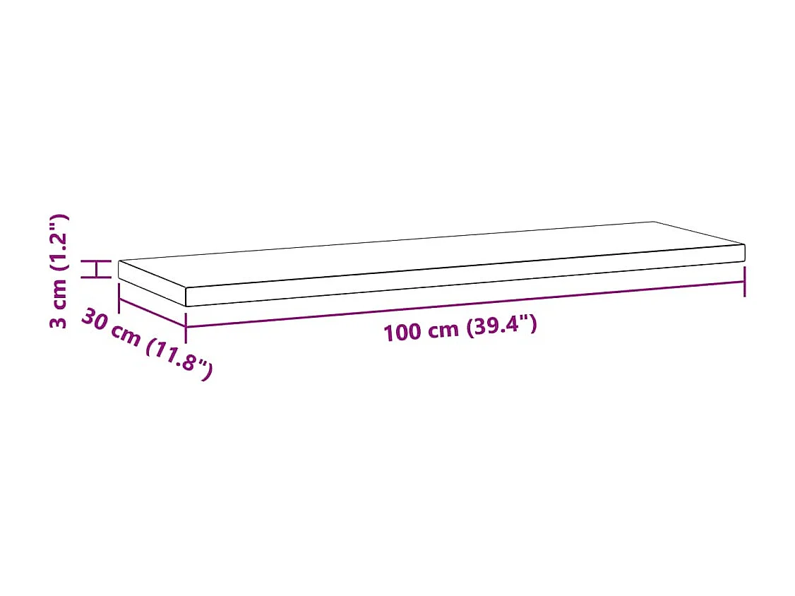 Mensole a Muro 2 pz 100x30x3 cm Argento in Acciaio Inossidabile